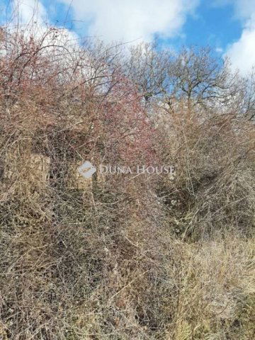 Eladó telek, Pécsett, Szabolcs-Hegyi úton 3.5 M Ft