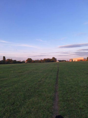 Eladó telek, Budapesten, XXIII. kerületben 38 M Ft