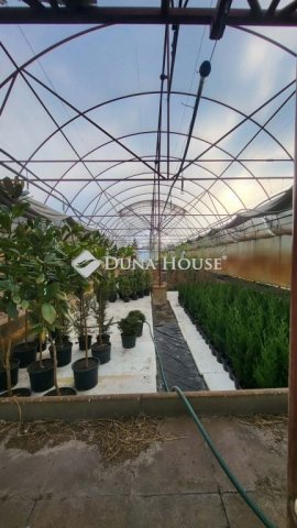 Eladó telek, Kiskunfélegyházán 16.5 M Ft / költözzbe.hu