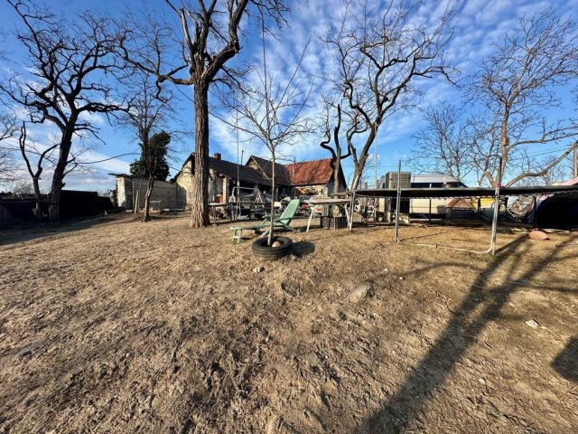 Eladó telek, Délegyházán 64.99 M Ft / költözzbe.hu