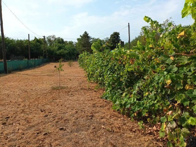 Eladó telek, Debrecenben, Tank utcában 6.9 M Ft