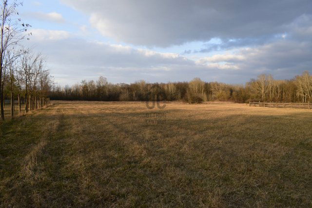 Eladó telek, Debrecenben 15.99 M Ft / költözzbe.hu