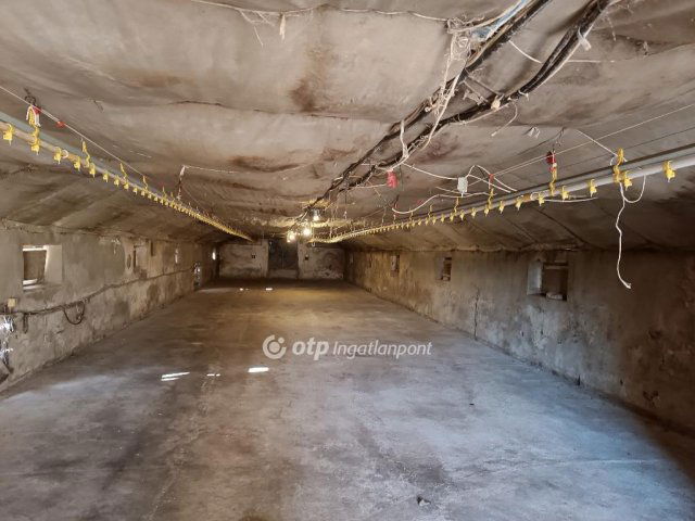 Eladó mezogazdasagi ingatlan, Csőszön 298 M Ft