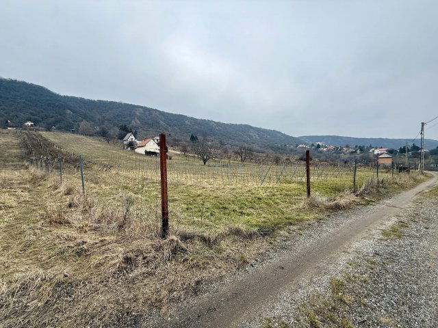 Eladó telek, Csókakőn 3.4 M Ft / költözzbe.hu