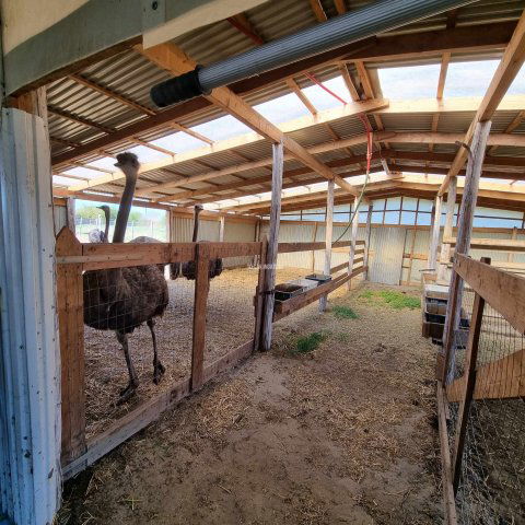 Eladó mezogazdasagi ingatlan, Mezőtúron 16.99 M Ft