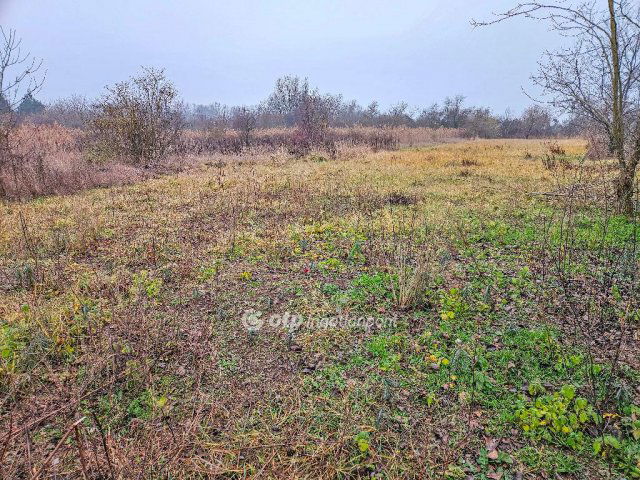 Eladó telek, Szigetszentmiklóson 15 M Ft / költözzbe.hu