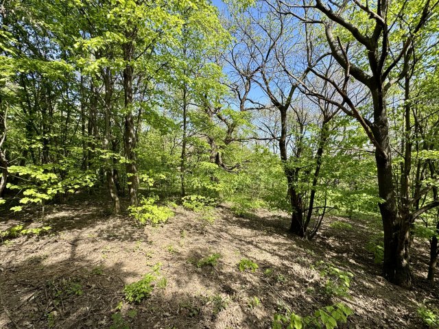 Eladó telek, Bazsiban 8 M Ft / költözzbe.hu