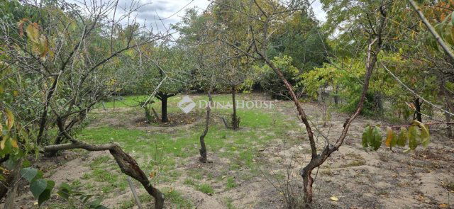 Eladó telek, Kecskeméten 5.5 M Ft / költözzbe.hu