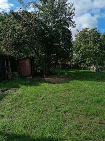 Eladó mezogazdasagi ingatlan, Nyíracsádon 10 M Ft