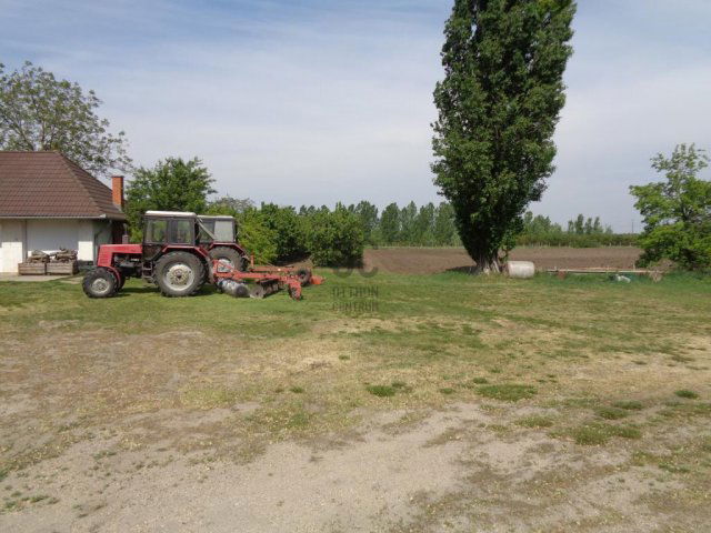 Eladó mezogazdasagi ingatlan, Lajosmizsén 460 M Ft