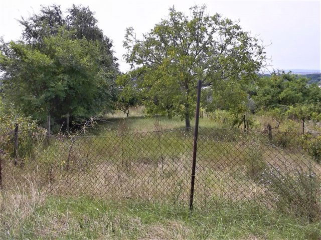 Eladó telek, Kajászón 10 M Ft / költözzbe.hu