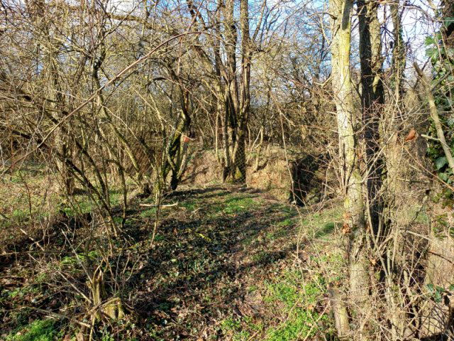 Eladó telek, Pilisszentivánon 3 M Ft / költözzbe.hu