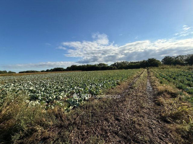 Eladó ipari ingatlan, Újfehértón 35 M Ft / költözzbe.hu