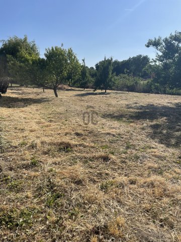 Eladó telek, Abonyban 5 M Ft / költözzbe.hu