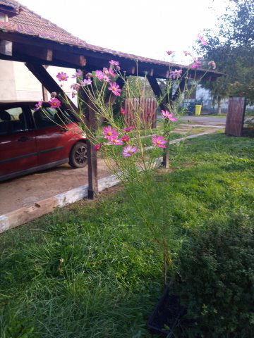 Eladó családi ház, Pétervásárán 15.1 M Ft, 3 szobás