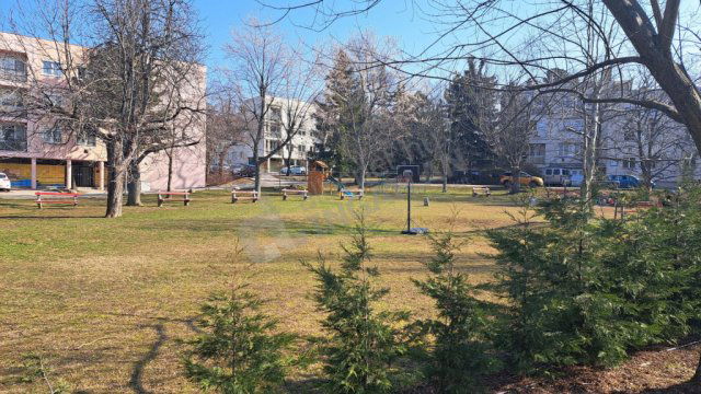 Kiadó téglalakás, albérlet, XII. kerületben, Eötvös úton