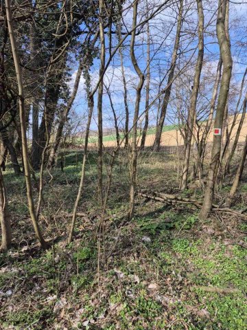 Eladó telek, Zalacsányon 25 M Ft / költözzbe.hu