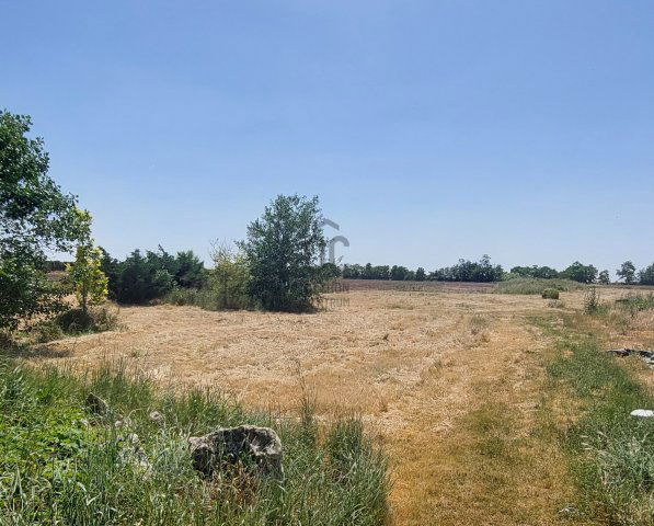 Eladó mezogazdasagi ingatlan, Gárdonyban 650 M Ft