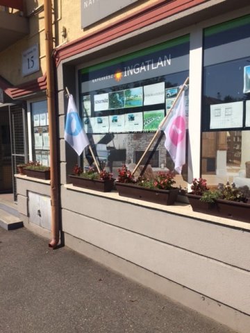 Eladó családi ház, Mosonmagyaróváron 53 M Ft, 2+3 szobás