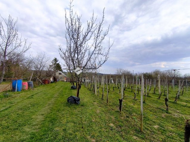 Eladó mezogazdasagi ingatlan, Igalon 18 M Ft, 1 szobás