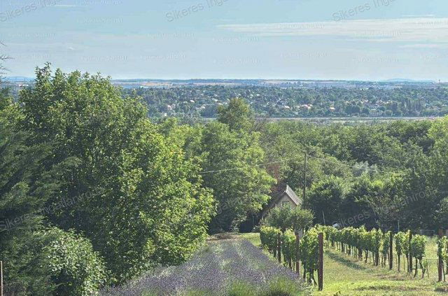 Eladó mezogazdasagi ingatlan, Vértesszőlősön 7 M Ft