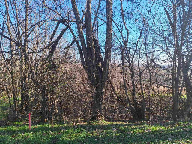 Eladó mezogazdasagi ingatlan, Igalon 1.59 M Ft