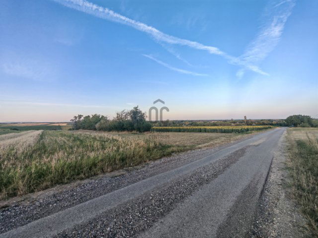 Eladó telek, Pázmándon 10.9 M Ft / költözzbe.hu