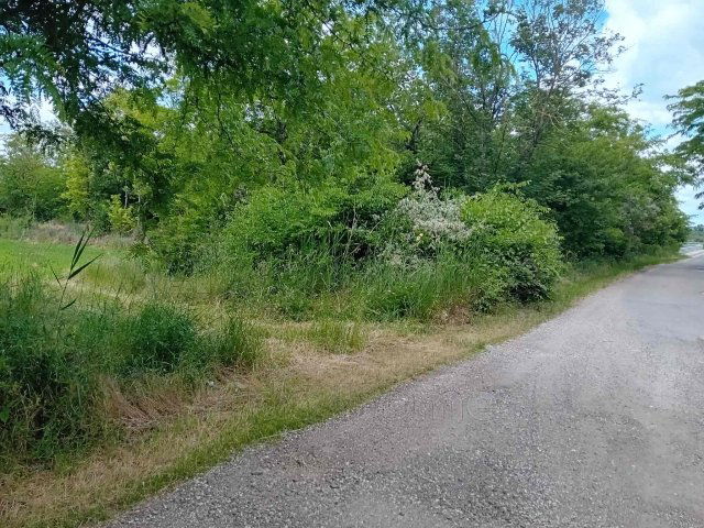 Eladó mezogazdasagi ingatlan, Zamárdiban 60 M Ft