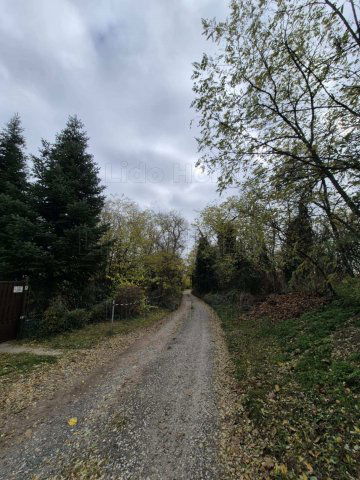 Eladó mezogazdasagi ingatlan, Pázmándfalun 7 M Ft