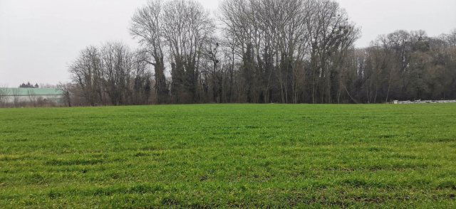 Eladó telek, Zalabéren 33.5 M Ft / költözzbe.hu