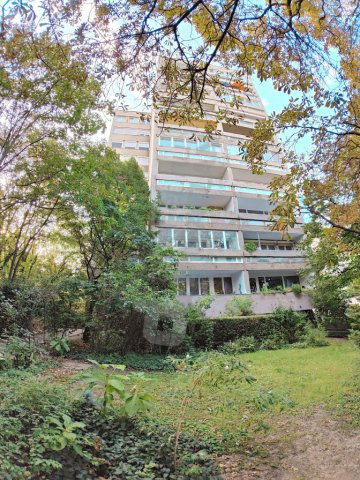 Kiadó panellakás, albérlet, II. kerületben, Pálos utcában