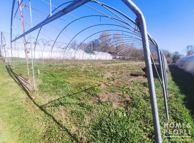 Eladó mezogazdasagi ingatlan, Szatymazon 20 M Ft