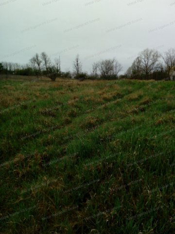 Eladó mezogazdasagi ingatlan, Szolnokon 77 M Ft