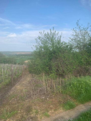 Eladó mezogazdasagi ingatlan, Balatonendréden 7 M Ft