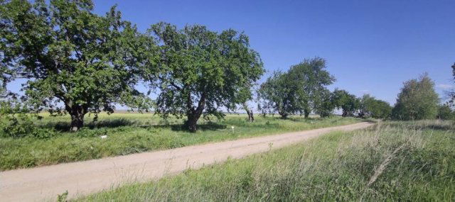 Eladó telek, Sajóvámoson 1.5 M Ft / költözzbe.hu