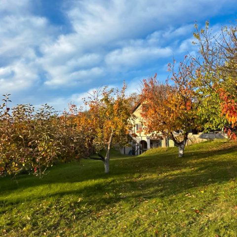 Eladó nyaraló, Válluson 35 M Ft, 1+2 szobás