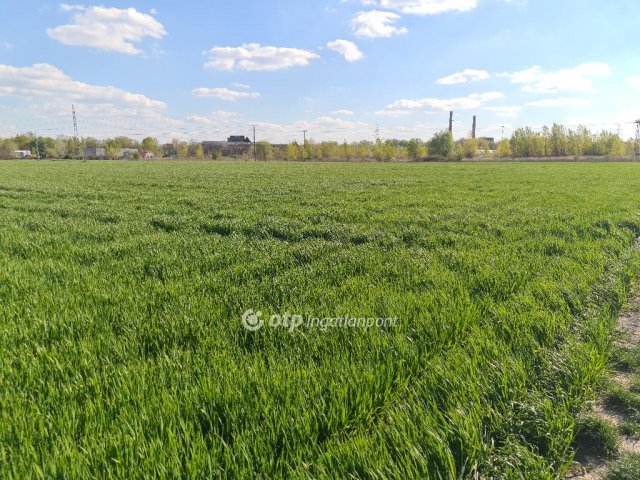 Eladó telek, Szigetszentmiklóson 16.9 M Ft / költözzbe.hu