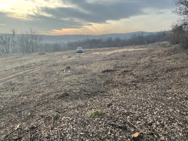 Eladó mezogazdasagi ingatlan, Balatonszőlősön 85 M Ft