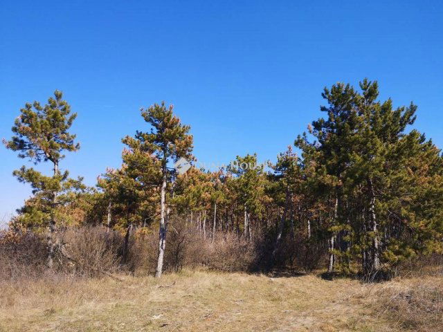 Eladó telek, Veszprémben 2.5 M Ft / költözzbe.hu