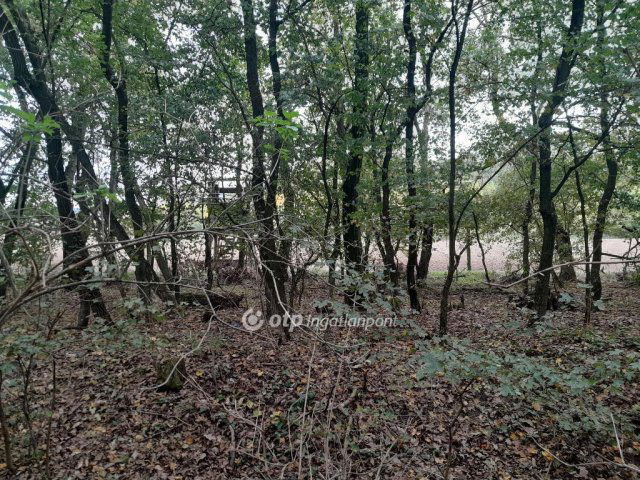 Eladó mezogazdasagi ingatlan, Tarjánon 38 M Ft