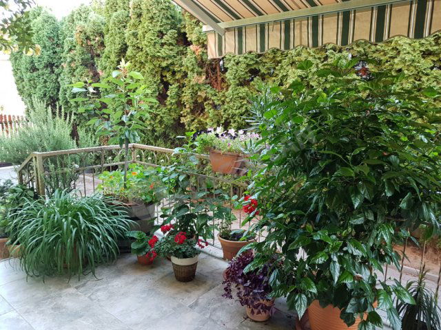 Kiadó családi ház, albérlet, Maglódon, Tompa Mihály utcában