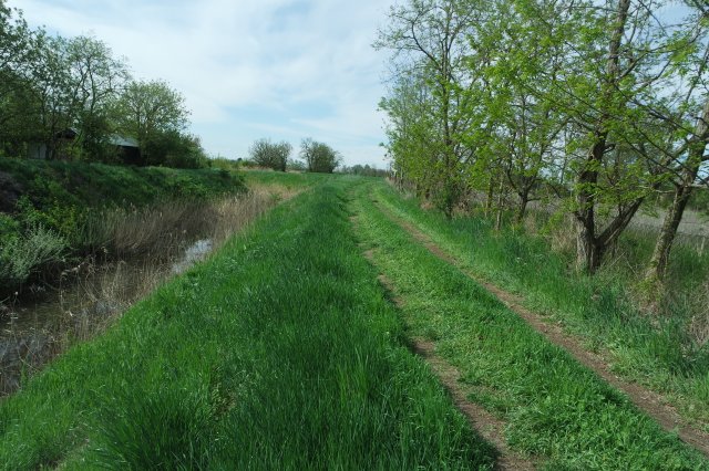 Eladó telek, Szegeden 10.9 M Ft / költözzbe.hu
