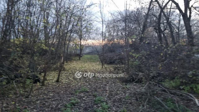 Eladó telek, Albertirsán 6.5 M Ft / költözzbe.hu