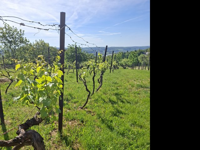 Eladó családi ház, Zalaegerszegen 16.5 M Ft, 2+2 szobás