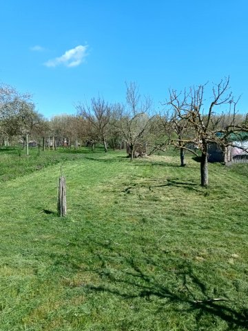 Eladó telek, Gyomaendrődön, Dobó István utcában 2.5 M Ft