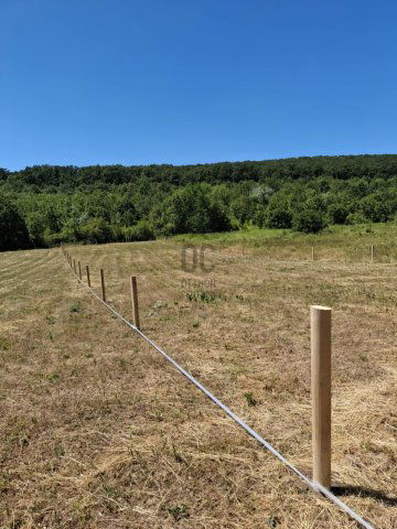 Eladó mezogazdasagi ingatlan, Törökbálinton 11 M Ft