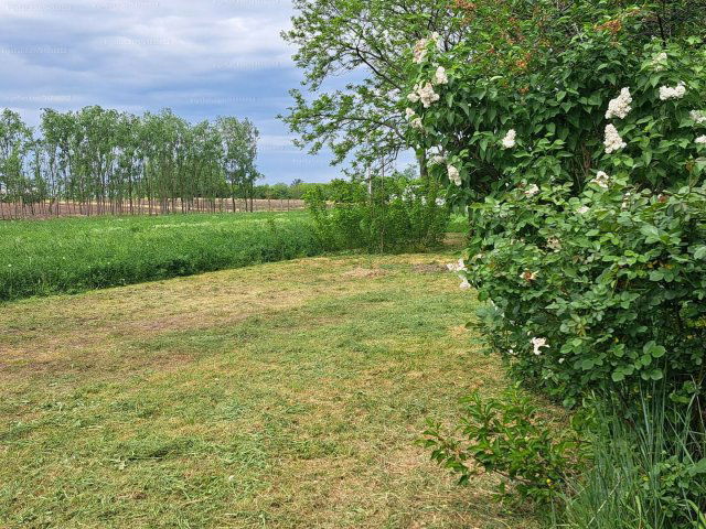 Eladó családi ház, Csányon 35.5 M Ft, 3+1 szobás