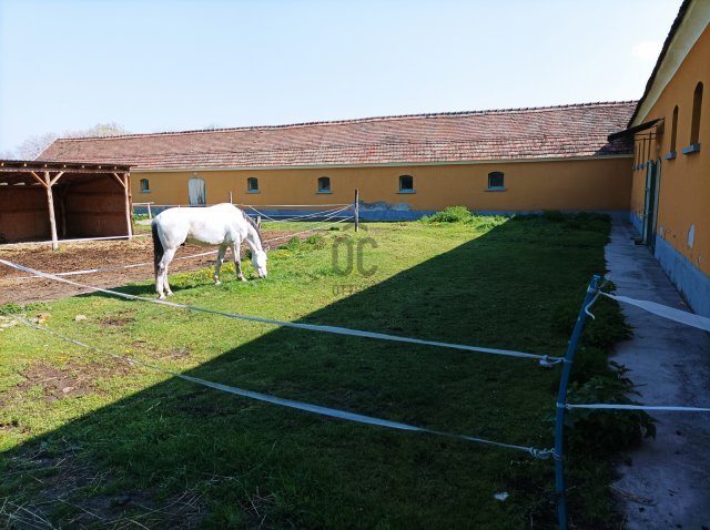 Eladó mezogazdasagi ingatlan, Környén 259.875 M Ft