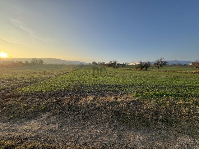 Eladó telek, Szekszárdon 34 M Ft / költözzbe.hu