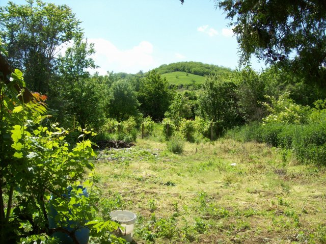 Eladó telek, Tokajban 11 M Ft / költözzbe.hu